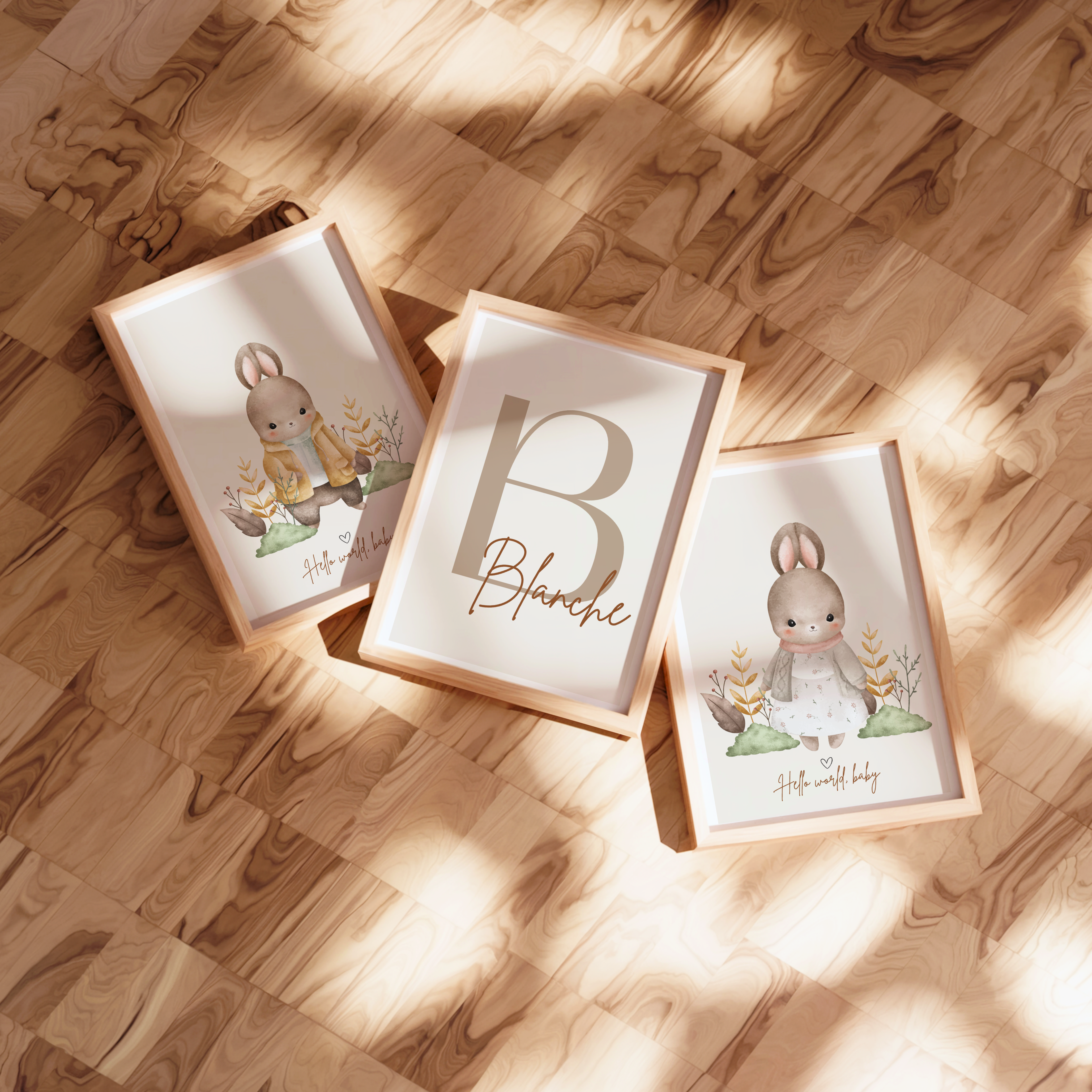 Affiches Lapin - Lot de 3